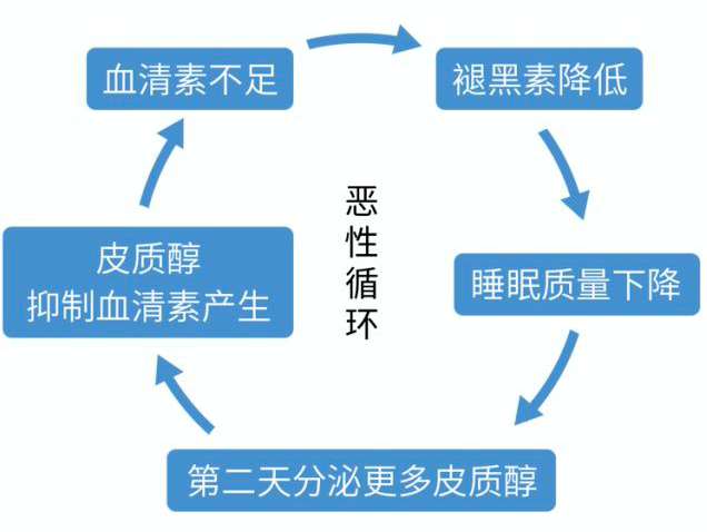 关于昼夜节律和神经递质