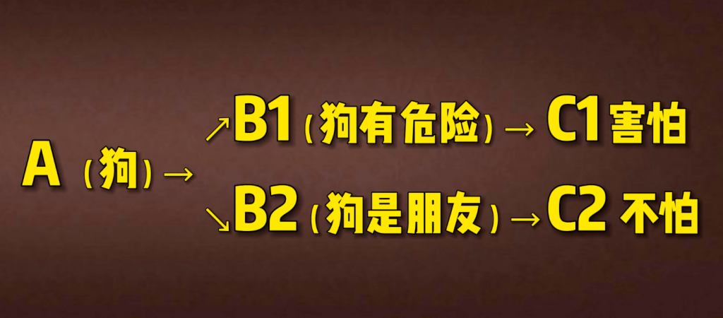 关于情绪ABC理论和神经可塑性